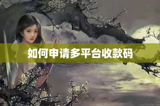 如何申請多平臺(tái)收款碼