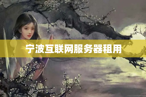 寧波互聯(lián)網(wǎng)服務(wù)器租用