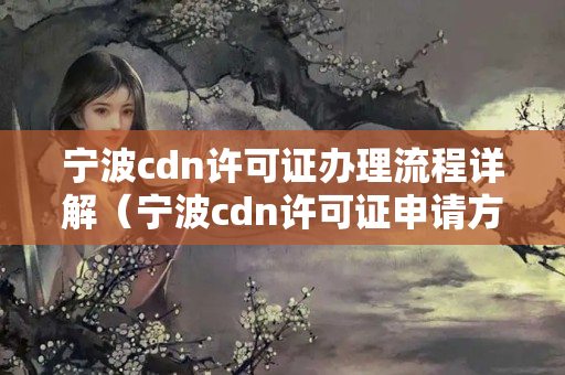 寧波cdn許可證辦理流程詳解（寧波cdn許可證申請方法）