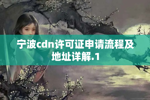 寧波cdn許可證申請流程及地址詳解