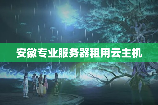 安徽專業(yè)服務器租用云主機