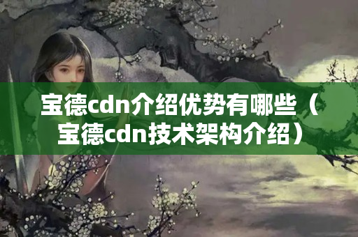 寶德cdn介紹優(yōu)勢(shì)有哪些（寶德cdn技術(shù)架構(gòu)介紹）