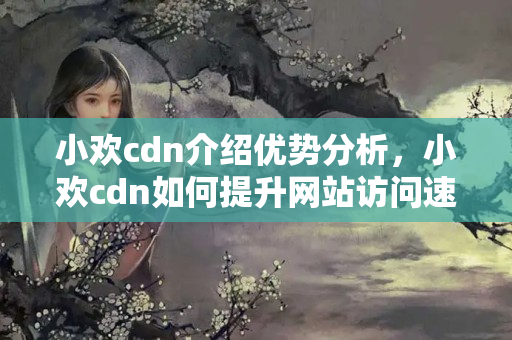 小歡cdn介紹優(yōu)勢分析，小歡cdn如何提升網(wǎng)站訪問速度