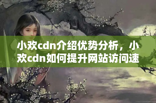 小歡cdn介紹優(yōu)勢分析，小歡cdn如何提升網(wǎng)站訪問速度