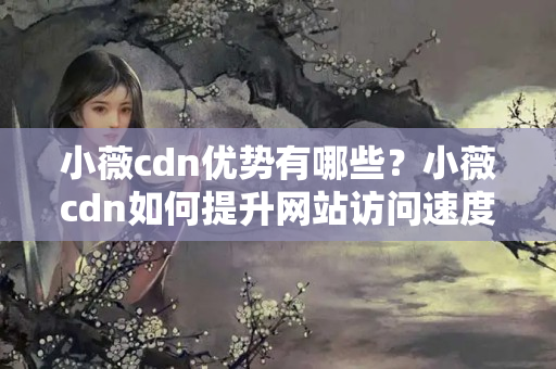 小薇cdn優(yōu)勢有哪些？小薇cdn如何提升網(wǎng)站訪問速度？