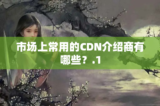 市場上常用的CDN介紹商有哪些？