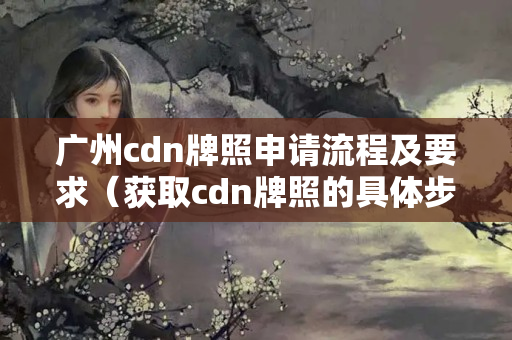 廣州cdn牌照申請(qǐng)流程及要求（獲取cdn牌照的具體步驟）