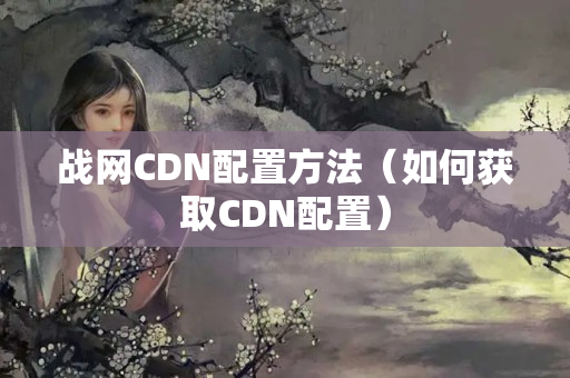 戰(zhàn)網(wǎng)CDN配置方法（如何獲取CDN配置）