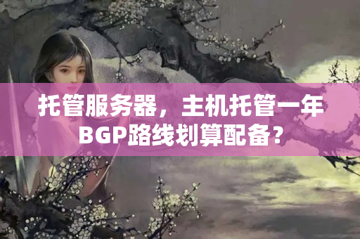 托管服務(wù)器，主機(jī)托管一年BGP路線劃算配備？