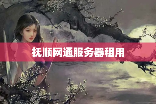 撫順網(wǎng)通服務(wù)器租用