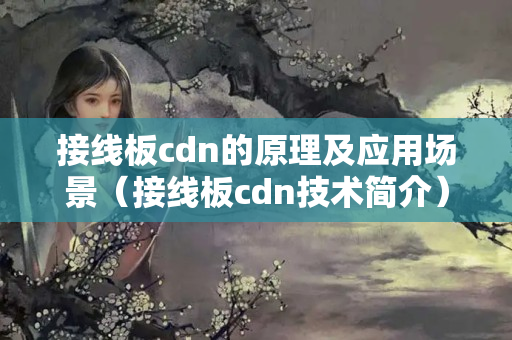 接線板cdn的原理及應(yīng)用場景（接線板cdn技術(shù)簡介）