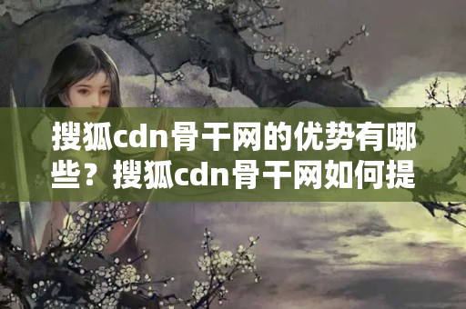 搜狐cdn骨干網(wǎng)的優(yōu)勢有哪些？搜狐cdn骨干網(wǎng)如何提升網(wǎng)站性能？