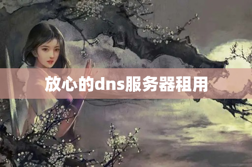 放心的dns服務(wù)器租用