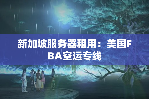 新加坡服務(wù)器租用：美國FBA空運專線