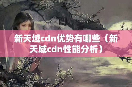 新天域cdn優(yōu)勢(shì)有哪些（新天域cdn性能分析）