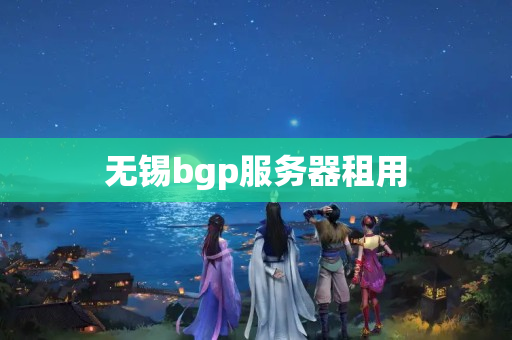 無錫bgp服務器租用