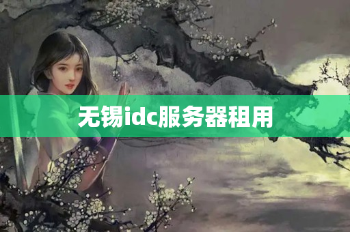 無錫idc服務器租用