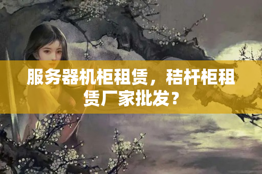 服務(wù)器機(jī)柜租賃，秸桿柜租賃廠家批發(fā)？