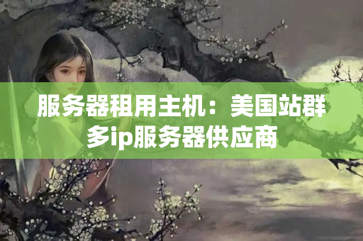 服務(wù)器租用主機(jī)：美國(guó)站群多ip服務(wù)器供應(yīng)商