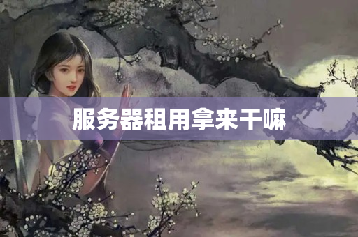 服務(wù)器租用拿來干嘛