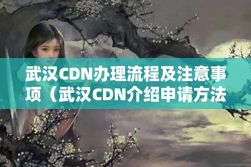 武漢CDN辦理流程及注意事項（武漢CDN介紹申請方法）