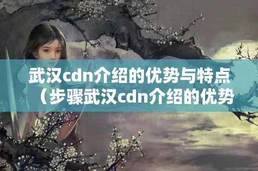 武漢cdn介紹的優(yōu)勢與特點（步驟武漢cdn介紹的優(yōu)勢）