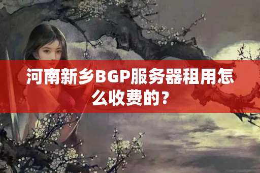 河南新鄉(xiāng)BGP服務(wù)器租用怎么收費(fèi)的？