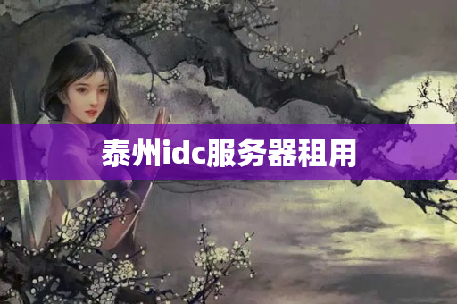 泰州idc服務(wù)器租用