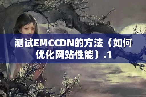 測試EMCCDN的方法（如何優(yōu)化網(wǎng)站性能）