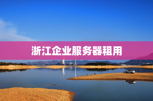 浙江企業(yè)服務(wù)器租用