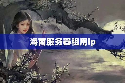 海南服務(wù)器租用ip