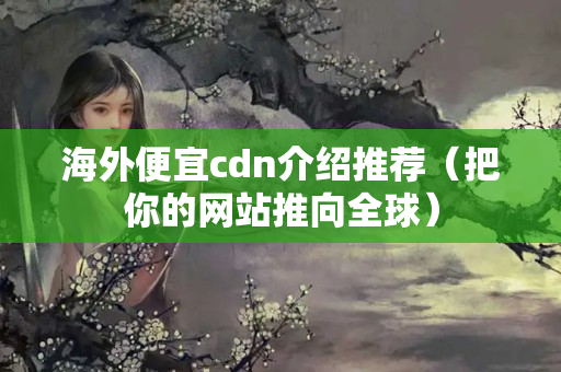 海外便宜cdn介紹推薦（把你的網(wǎng)站推向全球）