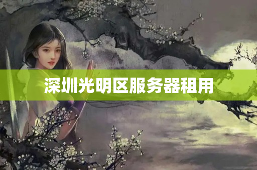 深圳光明區(qū)服務(wù)器租用