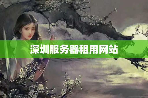 深圳服務(wù)器租用網(wǎng)站