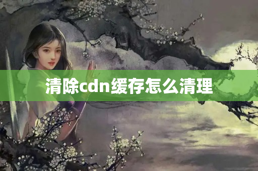 清除cdn緩存怎么清理