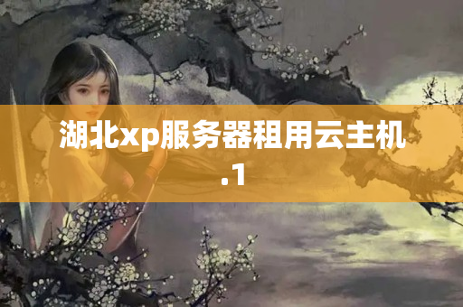 湖北xp服務(wù)器租用云主機