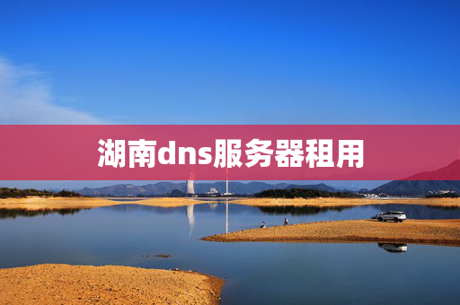 湖南dns服務(wù)器租用