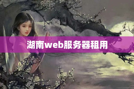 湖南web服務(wù)器租用