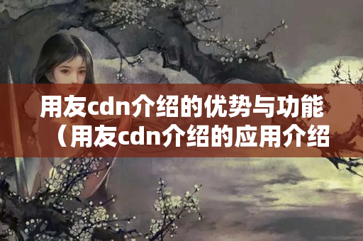 用友cdn介紹的優(yōu)勢(shì)與功能（用友cdn介紹的應(yīng)用介紹）