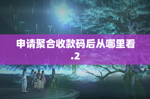 申請聚合收款碼后從哪里看