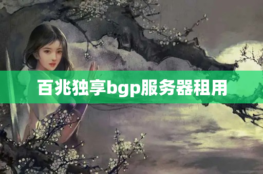 百兆獨(dú)享bgp服務(wù)器租用