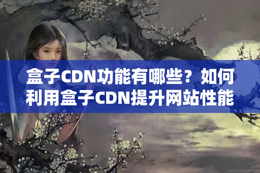 盒子CDN功能有哪些？如何利用盒子CDN提升網(wǎng)站性能？