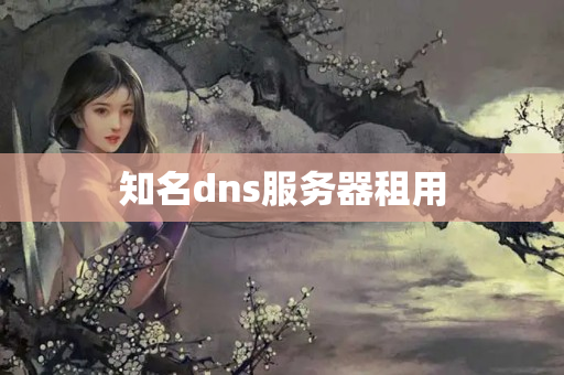 知名dns服務器租用