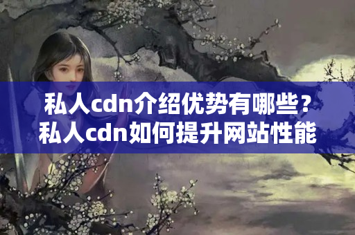 私人cdn介紹優(yōu)勢有哪些？私人cdn如何提升網(wǎng)站性能？