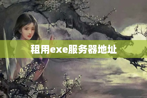 租用exe服務(wù)器地址