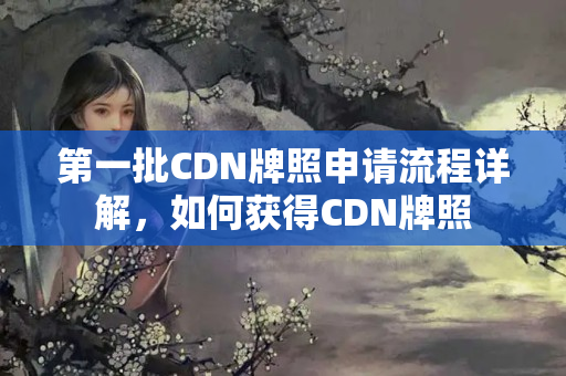 第一批CDN牌照申請(qǐng)流程詳解，如何獲得CDN牌照