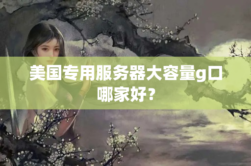 美國專用服務器大容量g口哪家好？