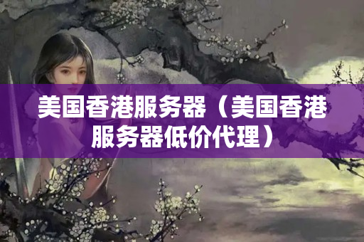 美國香港服務(wù)器（美國香港服務(wù)器低價代理）