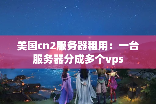 美國cn2服務器租用：一臺服務器分成多個vps