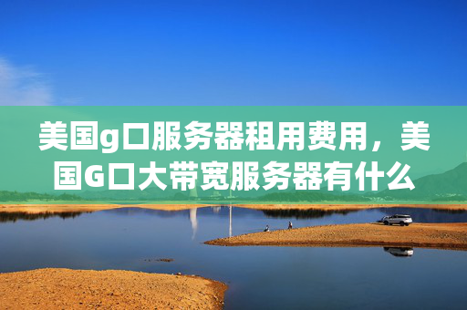 美國g口服務(wù)器租用費用，美國G口大帶寬服務(wù)器有什么好處？